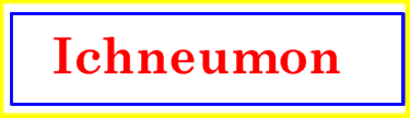 [Ichneumon]
