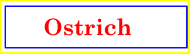 [Ostrich]